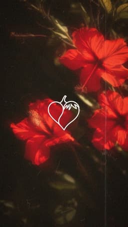 Avatar de oi sou a vanessa